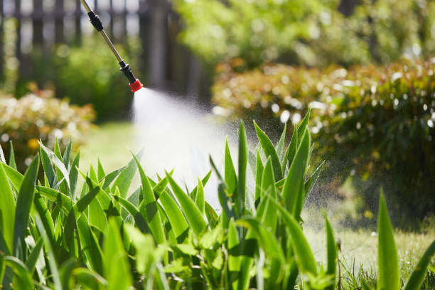 24/7 Emergency Wasp Removal experts in Morris, MN